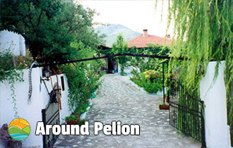 Olympia Apartments - Paltsi Pelion