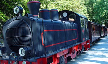 Steam Train of Pelion