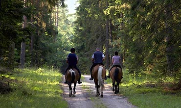 Horse Riding in Pelion