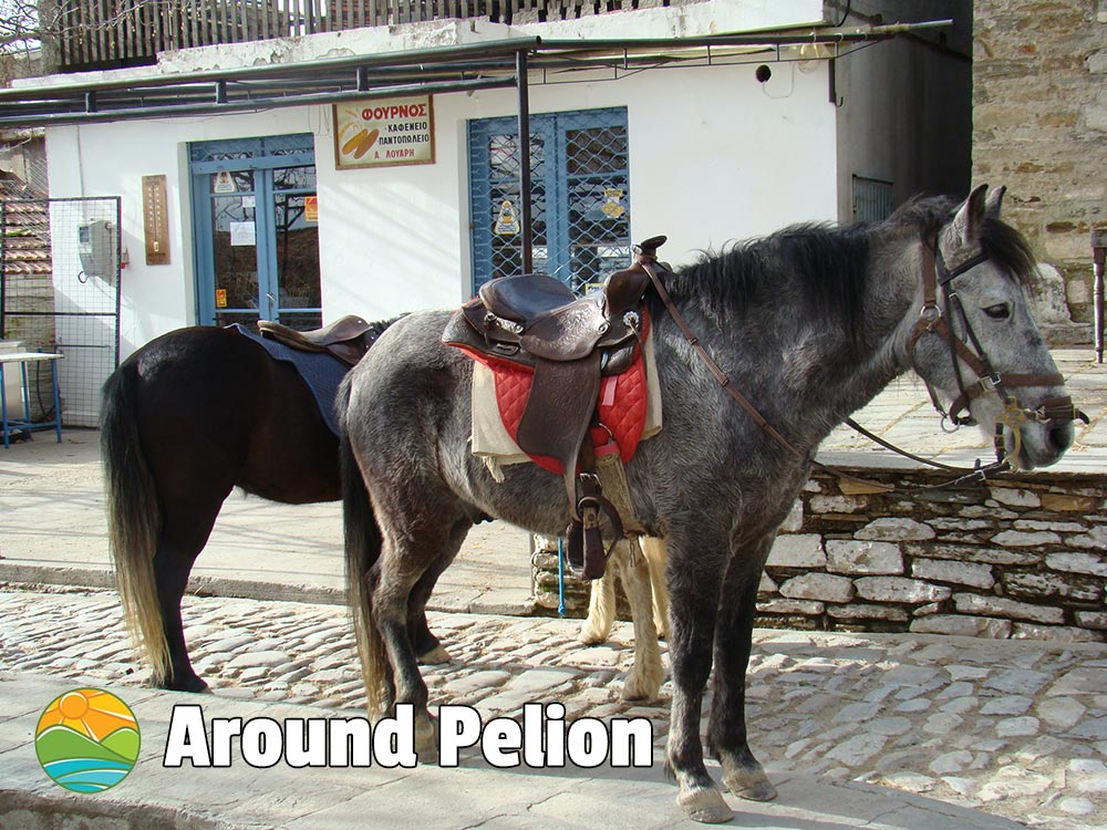 Agios Lavrentios Pelion