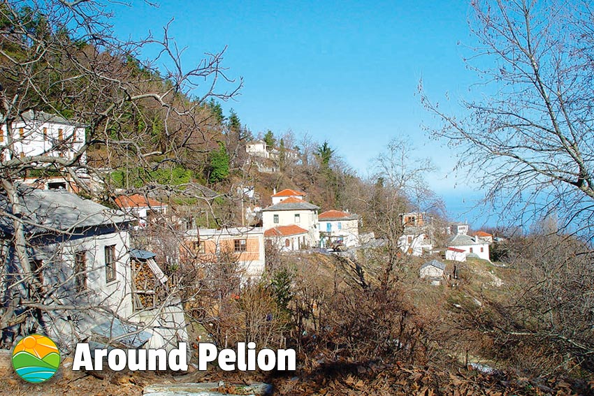 Kissos Pelion