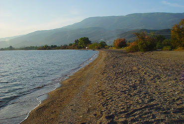 Κορώπη