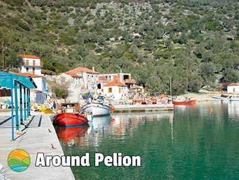 Kottes Pelion