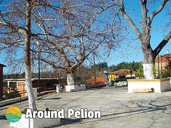 Metohi Pelion