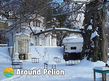 Pinakates Pelion