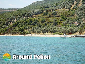 Platanias Pelion