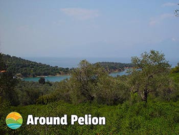 Τρίκερι Παλιό Πήλιο